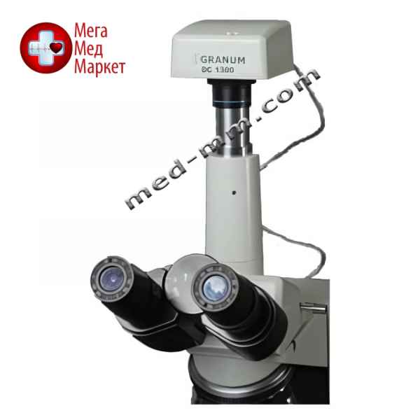 Купить Цифровые цветные видеокамеры Granum DCM 130E цена, характеристики, отзывы