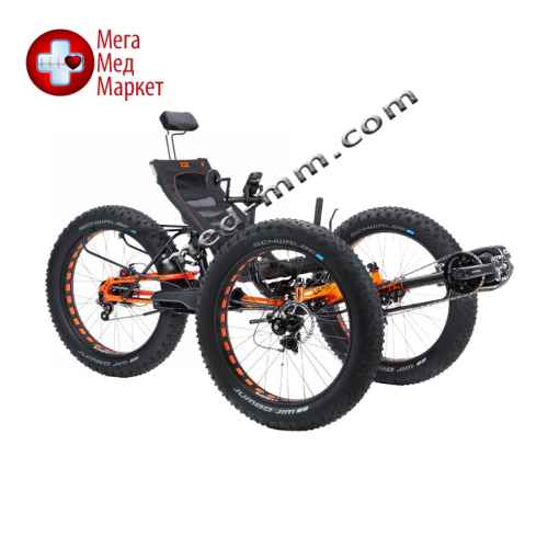 Спортивный трехколесный велосипед ICE Full Fat