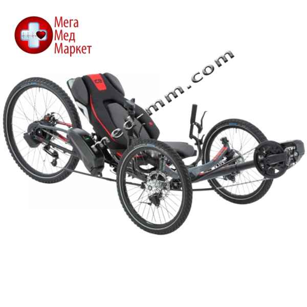 Купить Спортивний триколісний велосипед ICE SPRINT X 365 цена, характеристики, отзывы