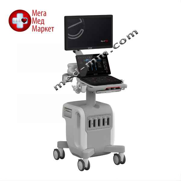 Купить Ультразвуковая система MyLab E80 цена, характеристики, отзывы